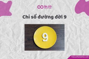 Chỉ số đường đời 9 là gì? Đặc điểm tính cách, tình duyên và sự nghiệp số chủ đạo 9